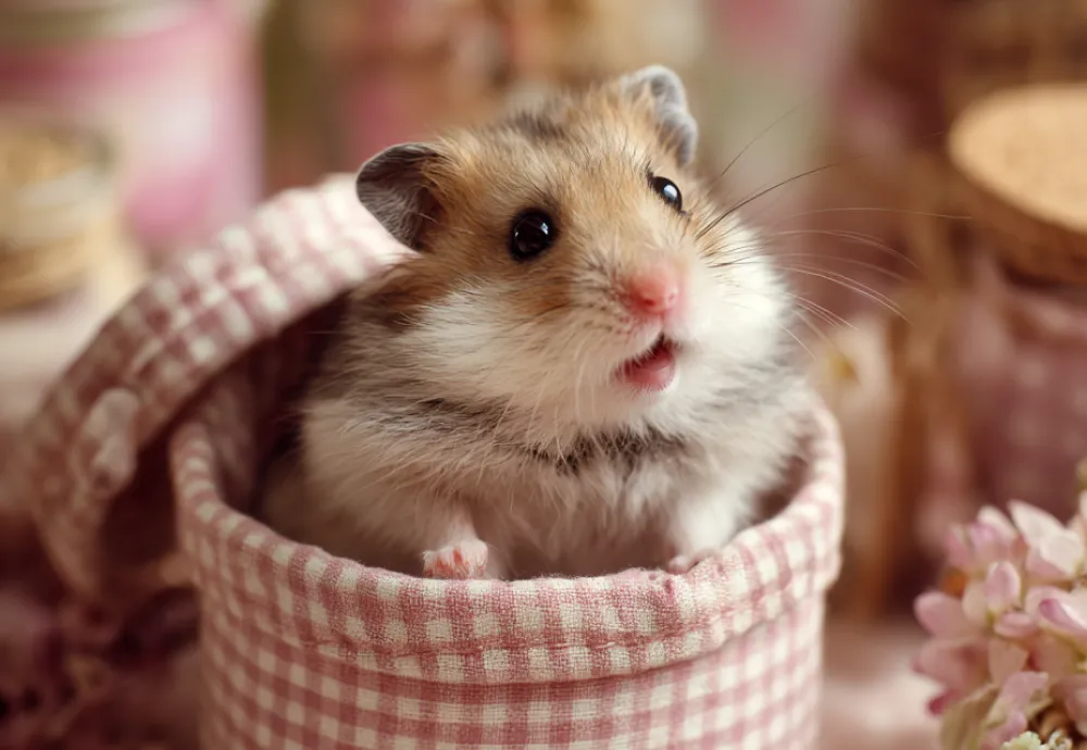 AI-driven Pet Activity Tracking Apps